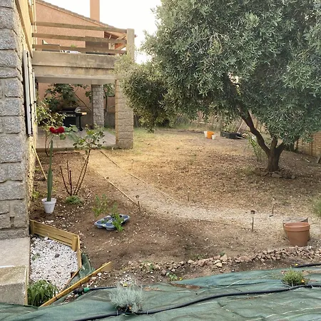 Rez De Confort Appartement *